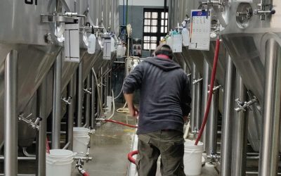 Levadura feliz, cerveza feliz